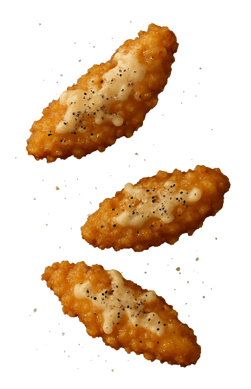 TENDERS DE POLLO